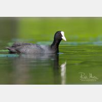 2956 x 1971_Px _RM_090421_MG_3608.jpg