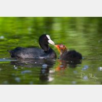 3001 x 2001_Px _RM_090519_MG_7486.jpg