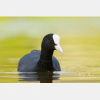 3207 x 2138_Px _RM_090421_MG_3262.jpg