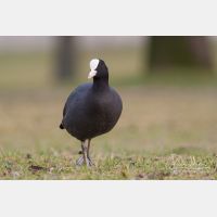 3325 x 2216_Px _RM_090317_MG_5752.jpg