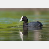 3329 x 2219_Px _RM_090421_MG_3352.jpg