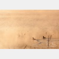 3555 x 2370_Px _RM_100409_MG_8492.jpg