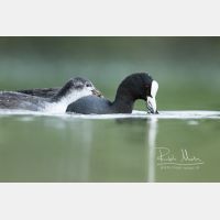 4006 x 2671 Px   _RM_200608_D2_2723.jpg