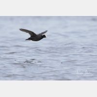 4290 x 2860_Px _RM_160212_MG_1472.jpg