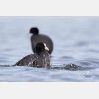 4306 x 2871_Px _RM_160212_MG_1356.jpg