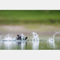 4381 x 2921_Px _RM_170513_MG_4088.jpg