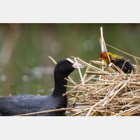 4611 x 3074_Px _RM_120518_MG_8673.jpg