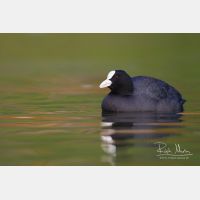 4658 x 3105_Px _RM_131126_MG_1083.jpg