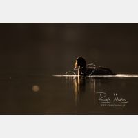 4737 x 3158 Px   _RM_200125_D2_1691.jpg