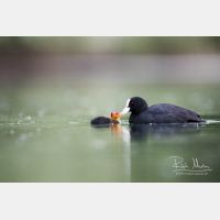 4748 x 3165_Px _RM_170513_MG_4835.jpg