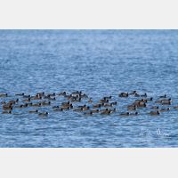 4779 x 3186_Px _RM_120103_MG_1895.jpg