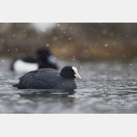 4887 x 3258_Px _RM_130328_MG_0412.jpg