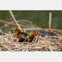 4942 x 3295_Px _RM_120518_MG_8627.jpg