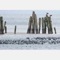 5014 x 3343 Px   _RM_180212_7D2_3762.jpg