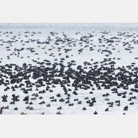 5024 x 3349 Px   _RM_180212_5D3_4376.jpg