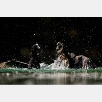 5025 x 3350 Px   _RM_170512_MG_3911.jpg