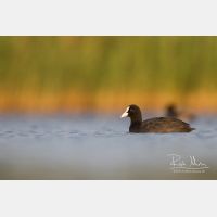 5025 x 3350_Px _RM_170817_MG_8620.jpg