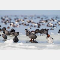 5132 x 3421_Px _RM_120218_MG_4765.jpg