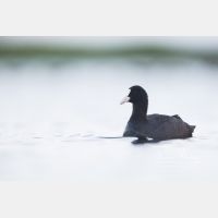 5171 x 3447 Px   __D3_6229.jpg