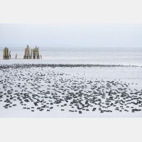 5277 x 3518 Px   _RM_180212_7D2_3766.jpg