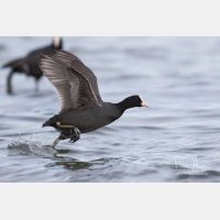 5472 x 3648_Px _RM_160212_MG_1491.jpg