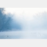 5472 x 3648_Px _RM_170304_MG_0359.jpg