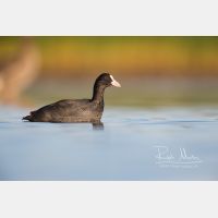 5760 x 3840 Px   _RM_180807__D3_7861.jpg