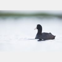 5760 x 3840 Px   __D3_6229.jpg