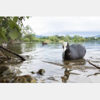 5968 x 3978 Px   _RM_200608_D4_2384.jpg