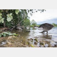 5999 x 4000 Px   _RM_200608_D4_2477.jpg