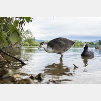 6150 x 4100 Px   _RM_200608_D4_2427.jpg