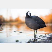 6467 x 4311 Px   _RM_200205_D4_8964.jpg