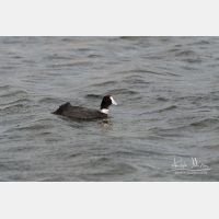 2836 x 1891_Px _RM_090329_MG_8551.jpg