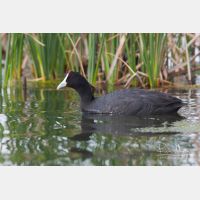 3375 x 2250_Px _RM_090329_MG_8494.jpg