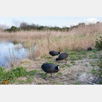 3474 x 2316_Px _RM_110320_MG_9028.jpg