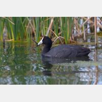 3504 x 2336_Px _RM_090329_MG_8493.jpg