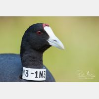 3888 x 2592_Px _RM_110320_MG_8749.jpg