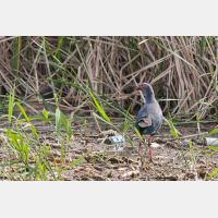 3427 x 2285_Px _RM_100403_MG_4119.jpg