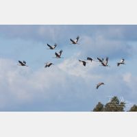 3426 x 2188_Px _RM_091005_MG_6339.jpg