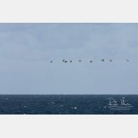 3648 x 2432_Px _RM_091005_MG_6320.jpg