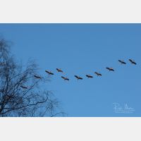 4652 x 3101 Px   _RM_180206_5D3_1491.jpg