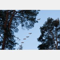 4683 x 3122 Px   _RM_180206_5D3_1494.jpg