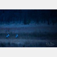 4763 x 3176 Px   _RM_180203_5D3_0433.jpg