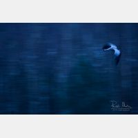 4882 x 3255 Px   _RM_180203_5D3_0462.jpg