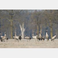 5025 x 3350 Px   _RM_180206_7D2_0481.jpg