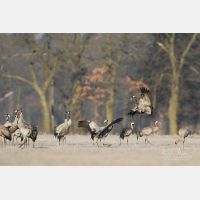 5060 x 3374 Px   _RM_180206_7D2_0425.jpg