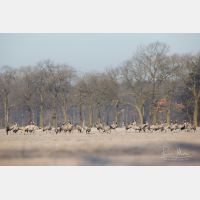 5267 x 3511 Px   _RM_180206_5D3_1582.jpg