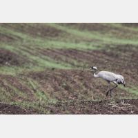 5472 x 3648_Px _RM_170607_MG_8010.jpg