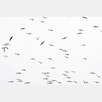 4049 x 2699_Px _RM_170606_MG_6108.jpg