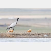 4385 x 2924_Px _RM_170606_MG_5918.jpg